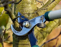 Bremerton Rico's Landscape NW LLC - Photo 6 - Car repair in , Bremerton