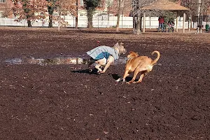 Town of Oyster Bay Dog Park image