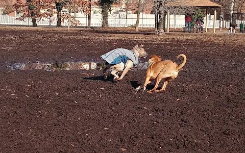 Town of Oyster Bay Dog Park image