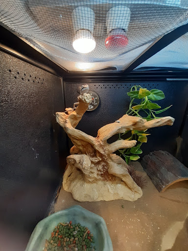 Pet Supply Store «PetSmart», reviews and photos, 4101 Oakwood Blvd, Hollywood, FL 33020, USA