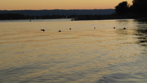 Museum «Vancouver Water Resources Education Center», reviews and photos, 4600 SE Columbia Way, Vancouver, WA 98661, USA