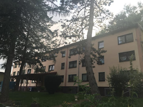 Gasthaus/Pension Pension-Eichsfeld Hohengandern en allemagne