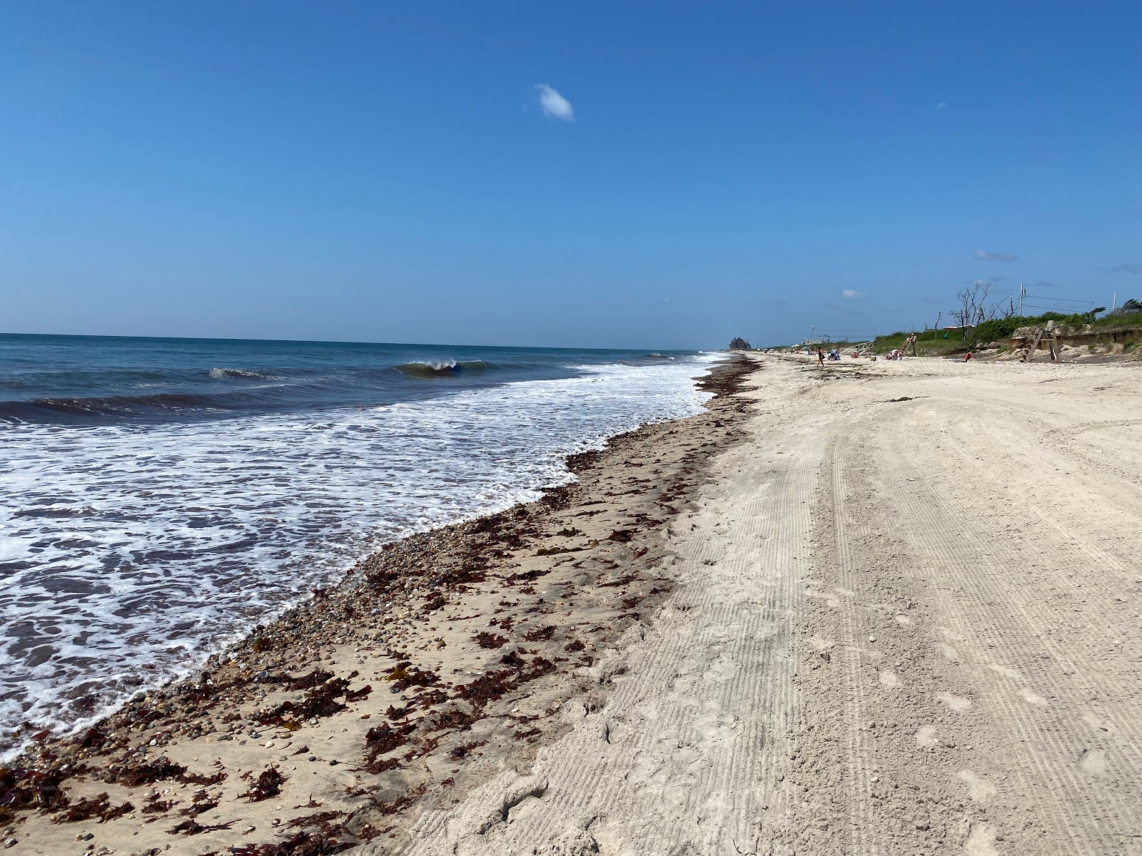 Zdjęcie Roy Carpenter's Beach z proste i długie
