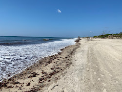 Foto di Roy Carpenter's Beach con costa lunga e dritta
