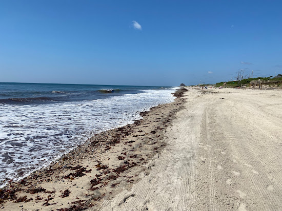 Roy Carpenter's Beach