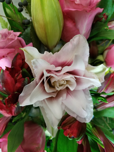 Florist «Forget Me Not Flowers and Gifts», reviews and photos, 113 E 8th St, Tyler, TX 75701, USA