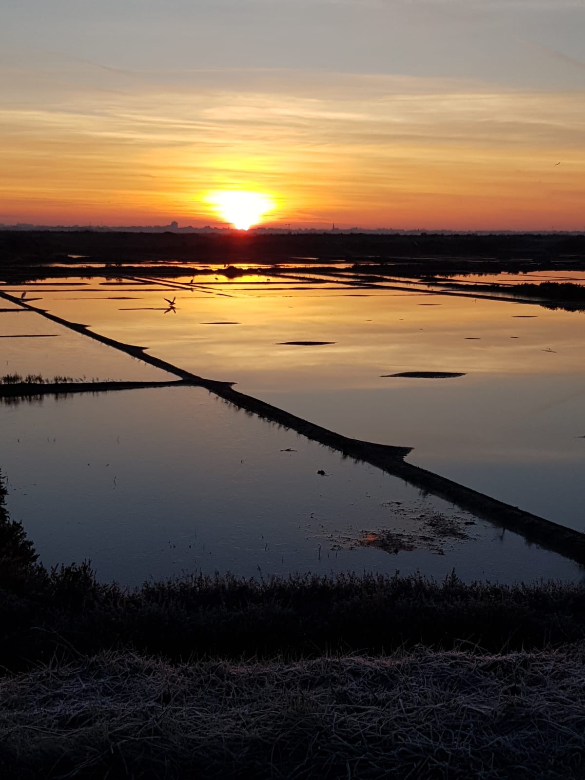 Photo n° 1 de l'avis de faustine.i fait le 03/10/2019 à 14:45