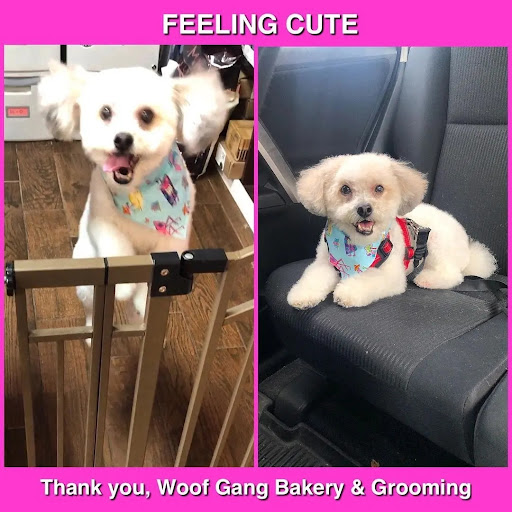 Pet Groomer «Woof Gang Bakery & Grooming Bridgewater», reviews and photos, 732 US-202 #130, Bridgewater, NJ 08807, USA