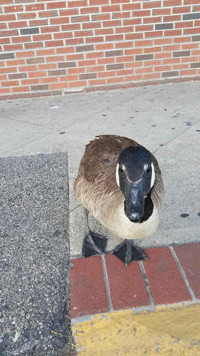 Department Store «Marshalls», reviews and photos, 200 Border St, East Boston, MA 02128, USA