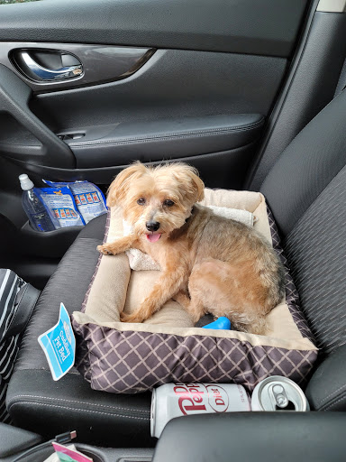 Pet Supply Store «PetSmart», reviews and photos, 7225 Bell Creek Rd Ste 228, Mechanicsville, VA 23111, USA