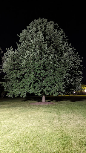 Park «Paulus Park», reviews and photos, 200 S Rand Rd, Lake Zurich, IL 60047, USA