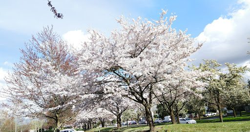 Camping Store «REI Headquarters», reviews and photos, 6750 S 228th St, Kent, WA 98032, USA