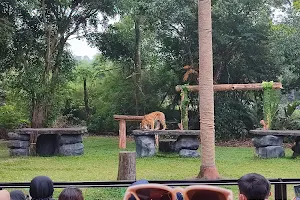 Tiger Show image