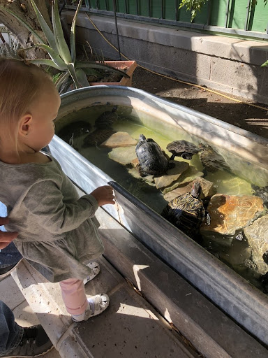 Zoo «Jr Pony Parties», reviews and photos, 1744 N Leonard Ln, Las Vegas, NV 89108, USA