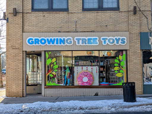 Gift Shop «Growing Tree Toys», reviews and photos, 202 S Allen St, State College, PA 16801, USA