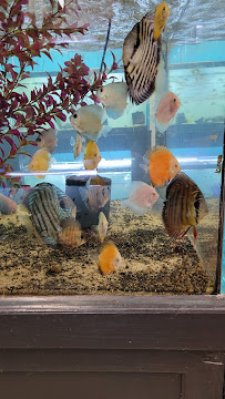 Fish Barn - Photo 5 - Car repair in West Branch, IA, Iowa City