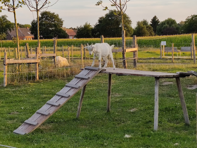 Beoordelingen van Stadsboerderij Turnhout in Turnhout - Discotheek