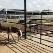 Steinert Veterinary Clinic