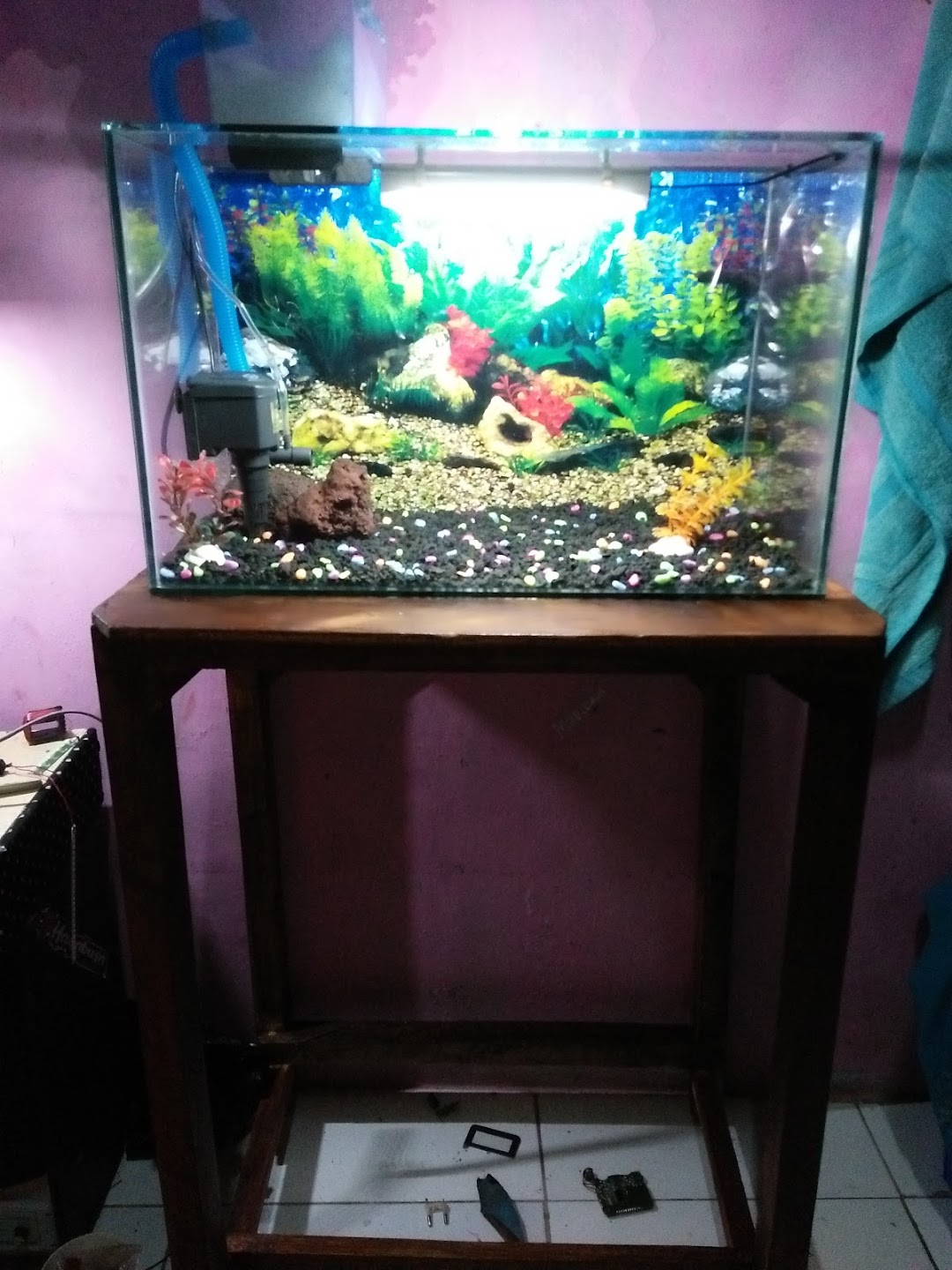 Ci2n Aquarium