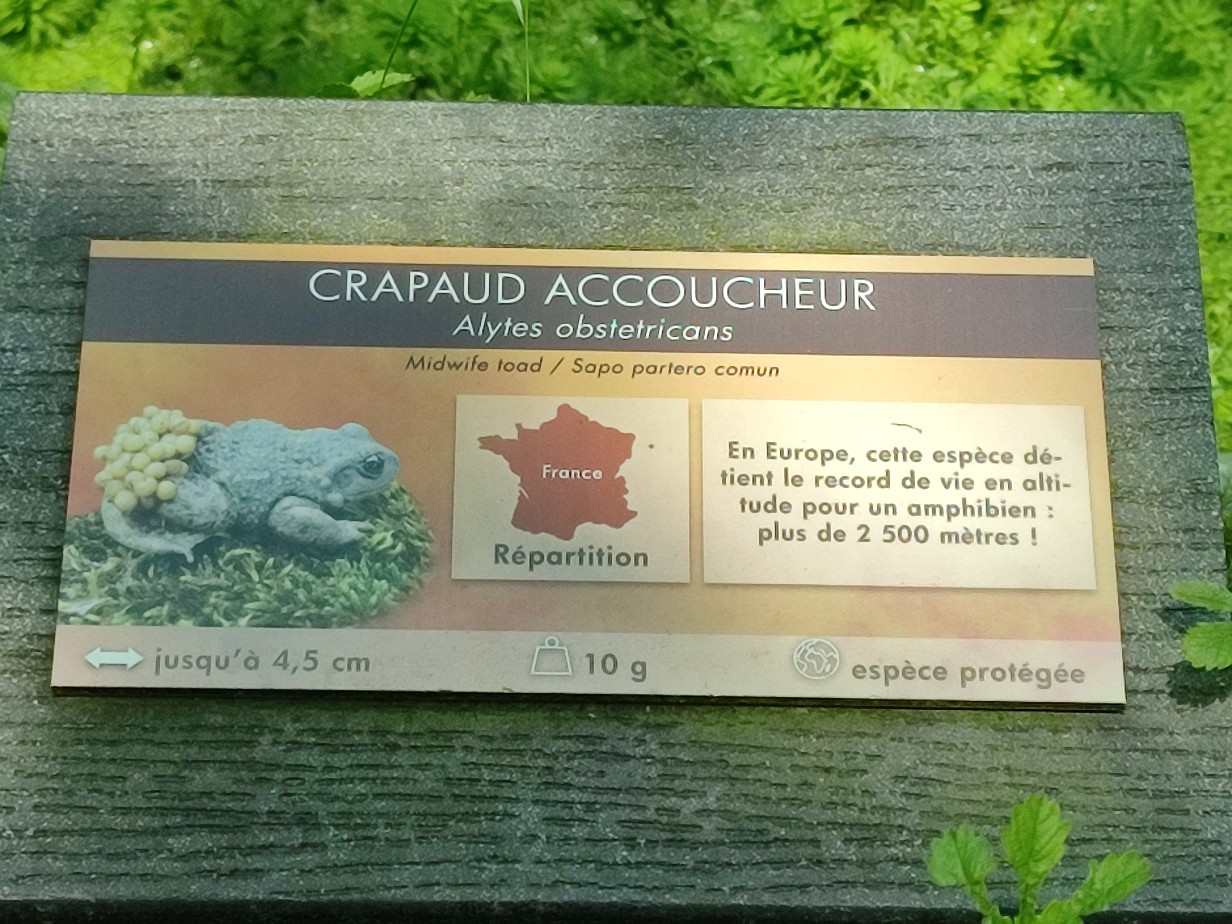 Photo n° 15 de l'avis de Julien.a fait le 02/06/2023 à 04:00