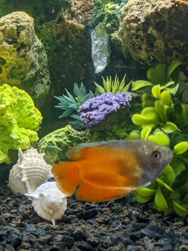 Animal Feed Store «Farmland Pets & Feed», reviews and photos, 9000 Silverdale Way NW, Silverdale, WA 98383, USA