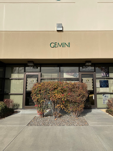 Gemini Cosmetics