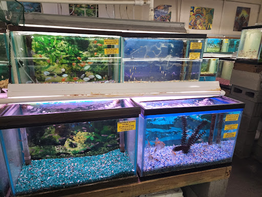 Tropical Fish Store «Fintique», reviews and photos, 701 West Ave, San Antonio, TX 78201, USA