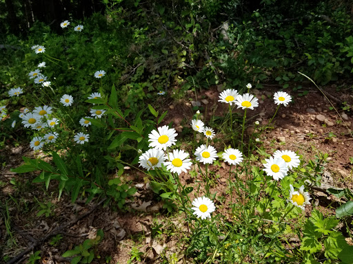 Public Golf Course «Bunker Hill Golf Course», reviews and photos, 220 Bunker Hill Rd, Princeton, NJ 08540, USA