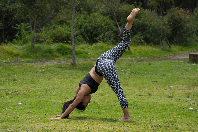 Samadhi Yoga Loja