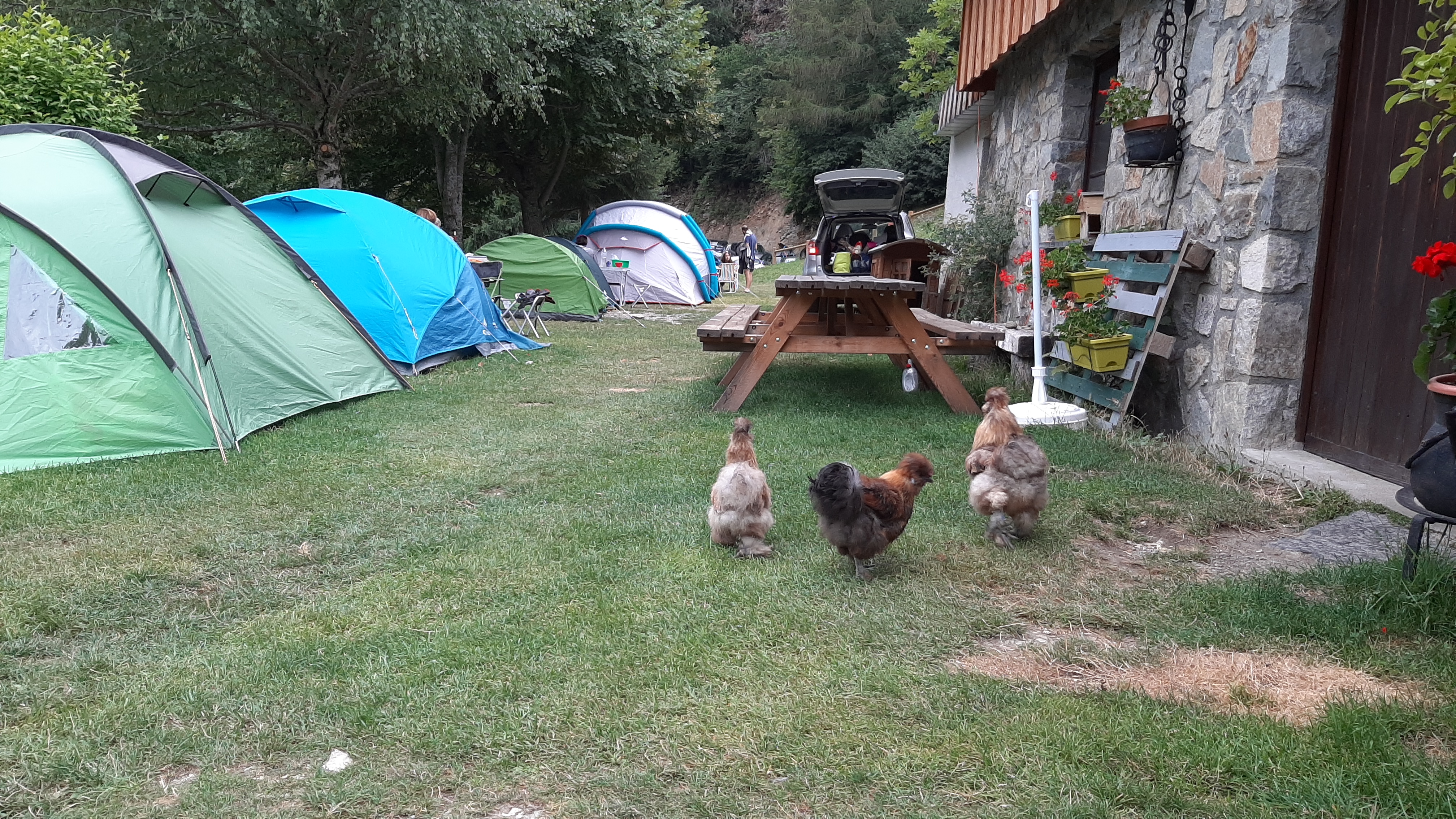 Photo n° 15 de l'avis de colonelabruti. fait le 16/08/2019 à 06:39