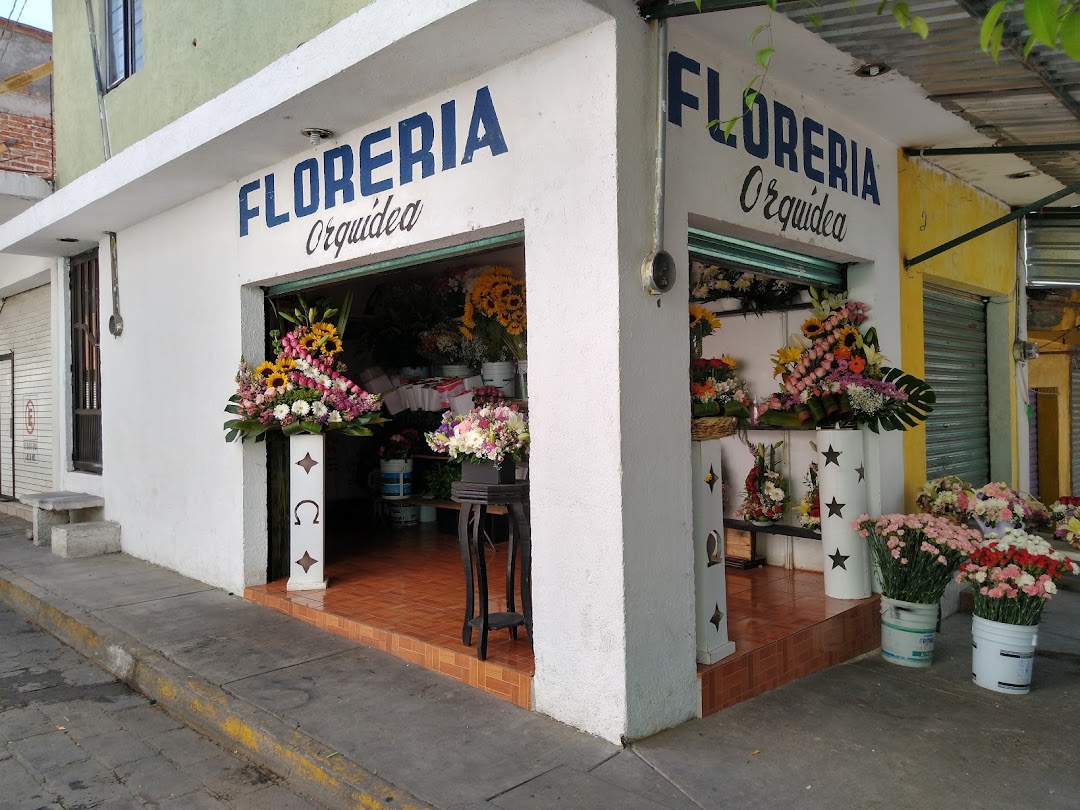 Florería orquídea de Apaseo el alto Guanajuato