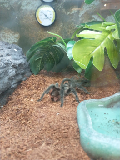 Pet Supply Store «PetSmart», reviews and photos, 4142 Commonwealth Ave, Eau Claire, WI 54701, USA