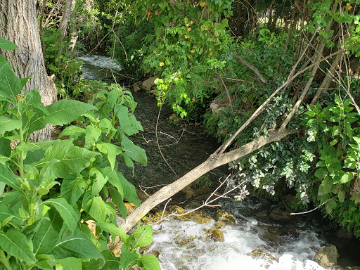 Public Golf Course «Landa Park Golf Course at Comal Springs», reviews and photos, 180 Golf Course Rd, New Braunfels, TX 78130, USA