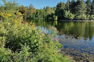 Loafer's Lake Recreation Centre image