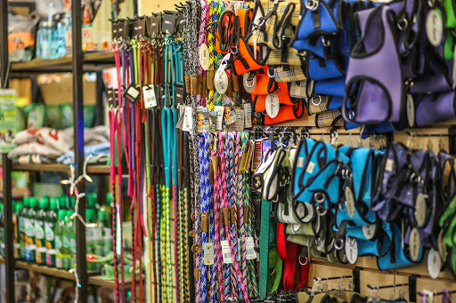 Dog Day Care Center «The Bowhaus Pet Company», reviews and photos, 2472 E Colorado Blvd, Pasadena, CA 91107, USA