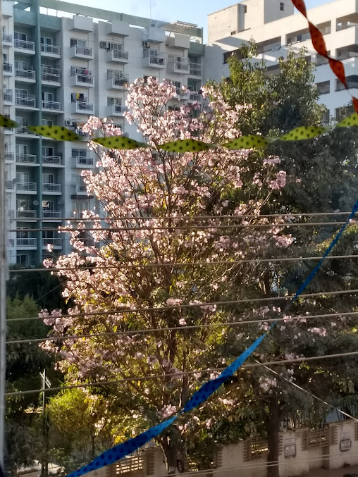 Google Maps image 30