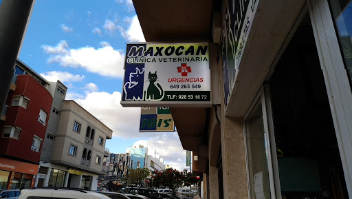 Clínica Veterinaria Maxocan en Puerto del Rosario