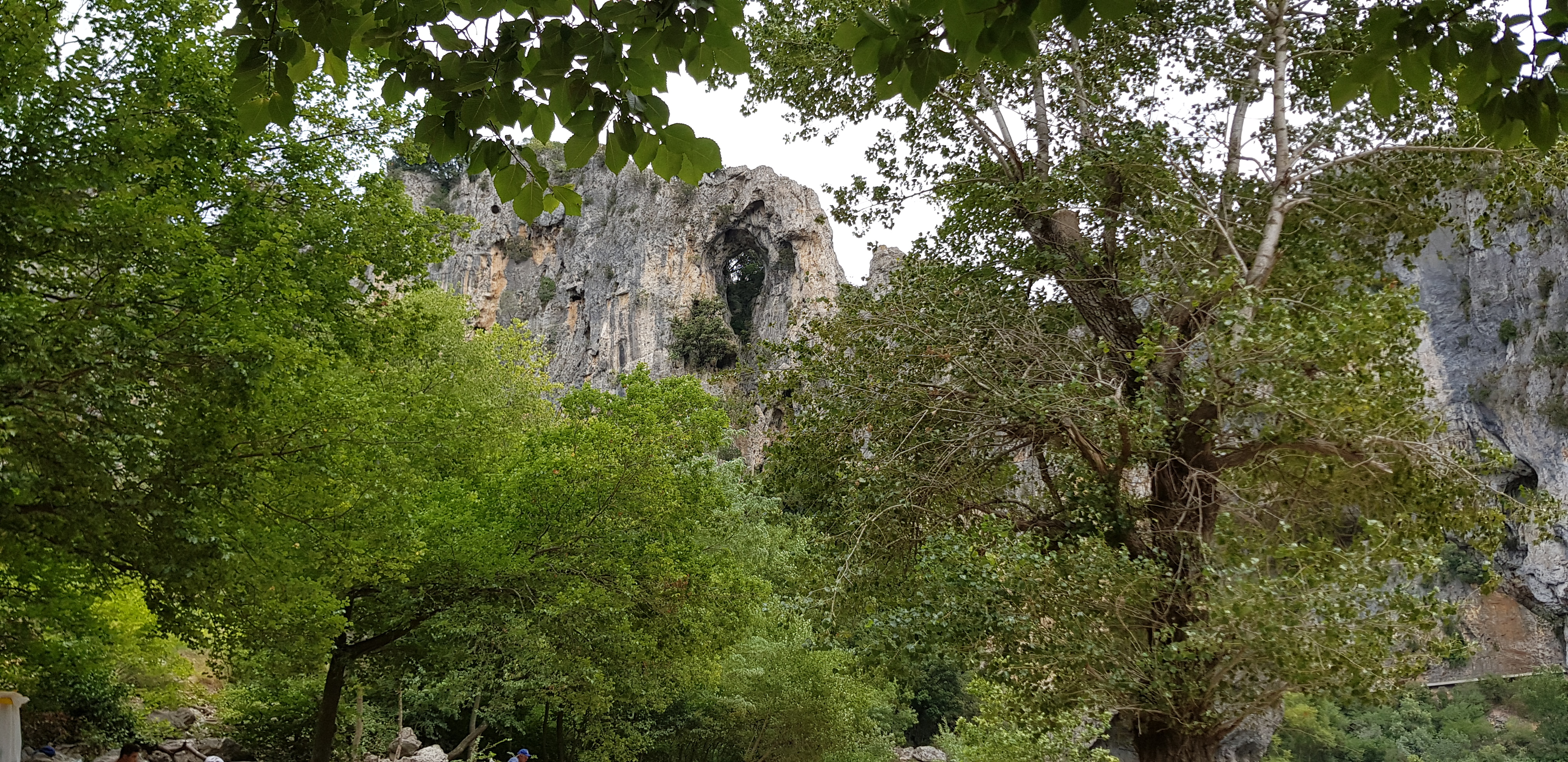 Photo n° 1 de l'avis de fred. fait le 04/08/2020 à 14:25