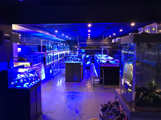 Tropical Fish Store «Manhattan Aquariums», reviews and photos, 522 W 37th St, New York, NY 10018, USA