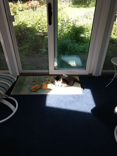 Public Golf Course «Fox Prairie Golf Course», reviews and photos, 8465 E 196th St, Noblesville, IN 46062, USA