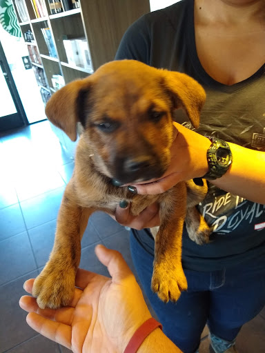 Shopping Mall «Pismo Coast Shopping Plaza», reviews and photos, 555 5 Cities Dr, Pismo Beach, CA 93449, USA