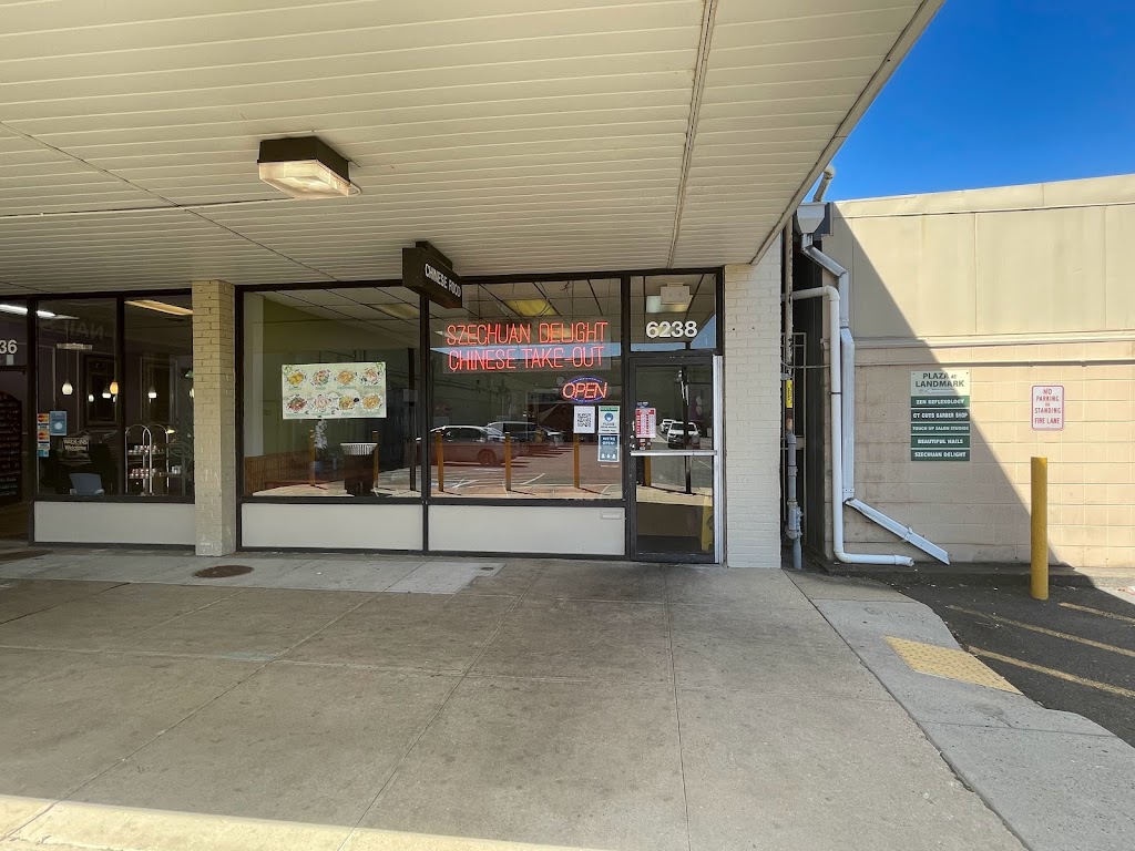Szechuan Delight 22312