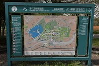 旧岩崎邸庭園