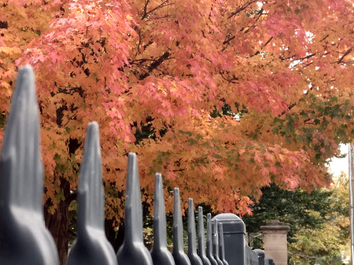 Park «Jergens Park», reviews and photos, 1615 Bruce Ave, Cincinnati, OH 45223, USA