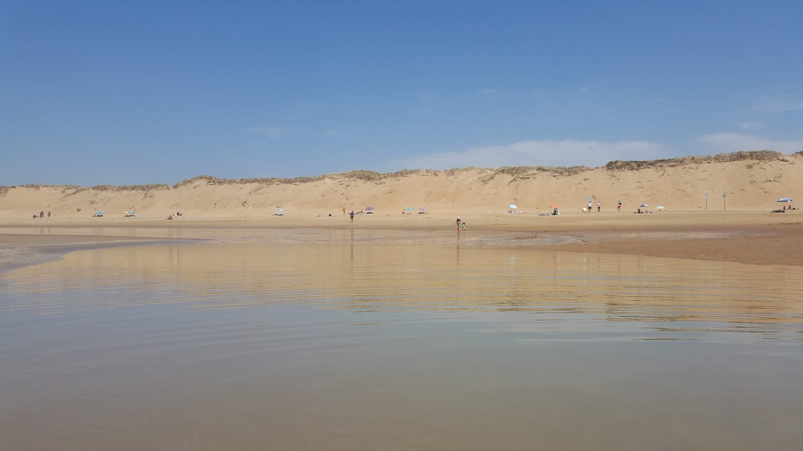 Foto de Praia de Sauveterre - bom local amigável para animais de estimação para férias