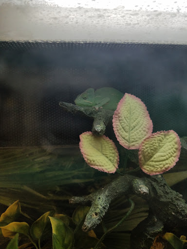 Pet Supply Store «PetSmart», reviews and photos, 88 Dunning Rd, Middletown, NY 10940, USA