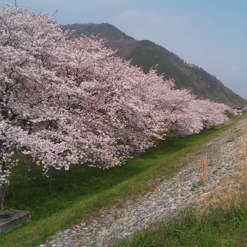 祗園公園