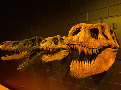 Science Museum «Discovery Place Science», reviews and photos, 301 N Tryon St, Charlotte, NC 28202, USA