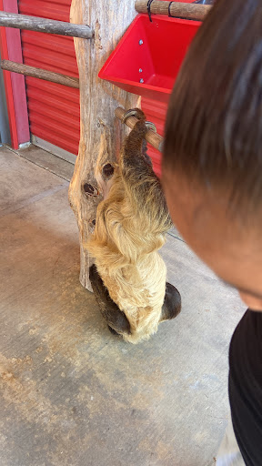 Ranch «Sharkarosa Wildlife Ranch», reviews and photos, 11670 Massey Rd, Pilot Point, TX 76258, USA