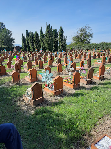 Cimitero I Cipressini